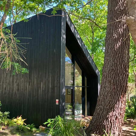 Nouveau - Ecolodge 'Calme Et Nature' - Avec Piscine Au Golf-Lac De Biscarrosse - Couchage 2 Personnes Exterior foto