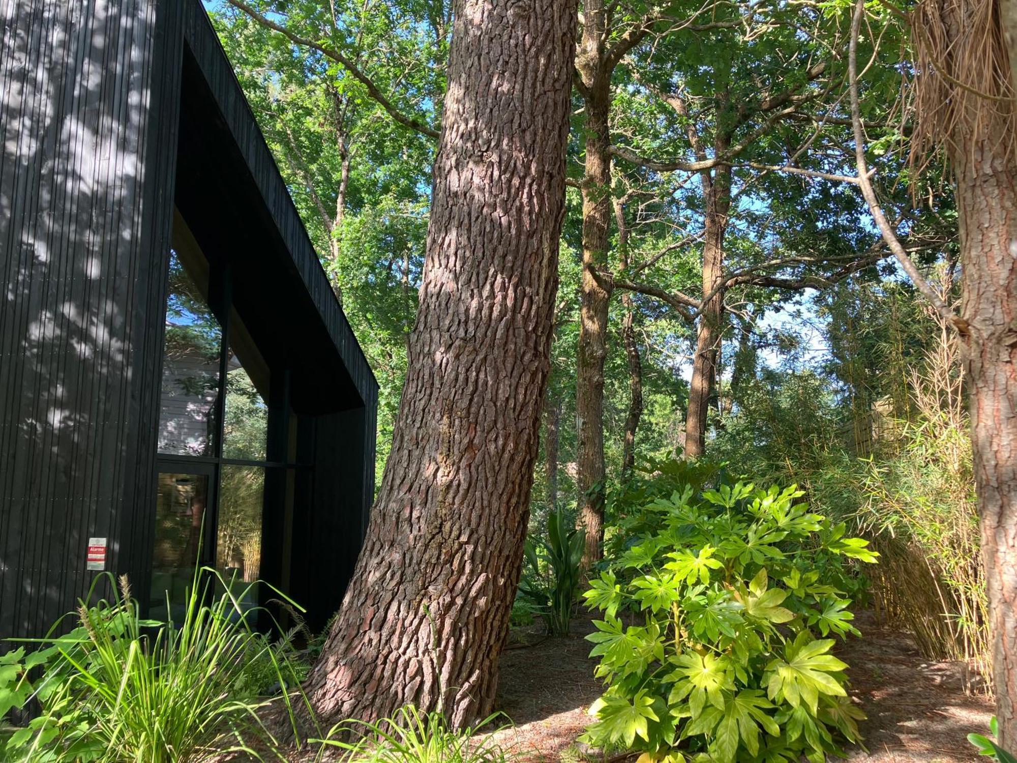 Nouveau - 'calme Et Nature' - Avec Piscine Au Golf-lac De - Couchage 2 Personnes Ferienhaus